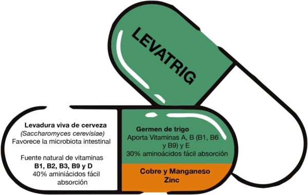 Levatrig cápsulas - Bioserum. Componentes